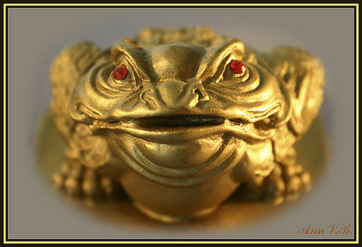 Golden Toad.