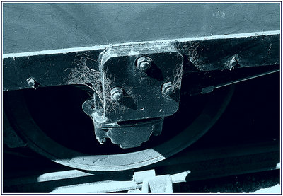 Cobwebs