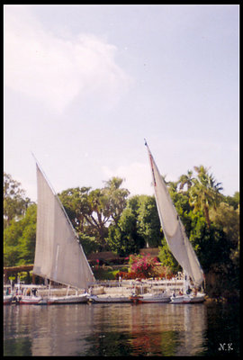 The nile view 2