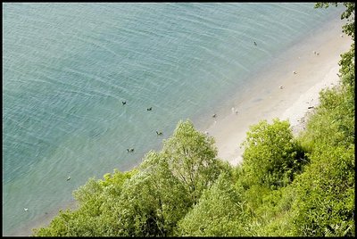 The Over Bluffs