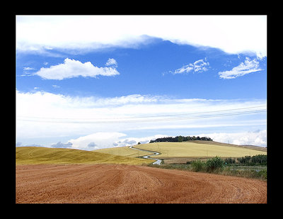 This is tuscany #11-Serpentine road