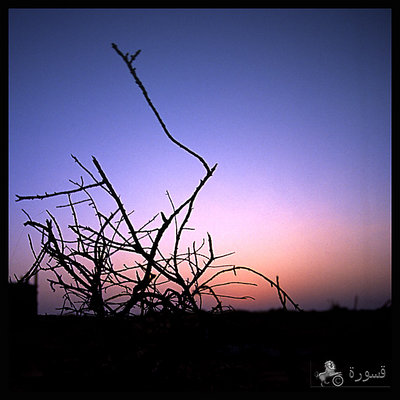Silhouette