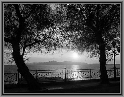 tree shadows at sunset....