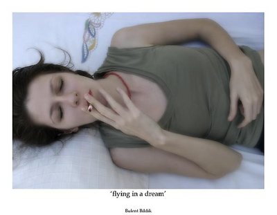 Flying In A Dream