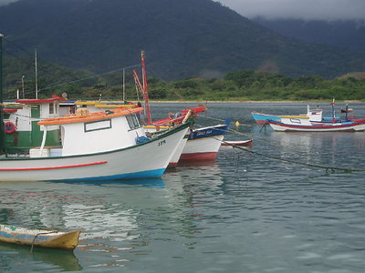Boats II