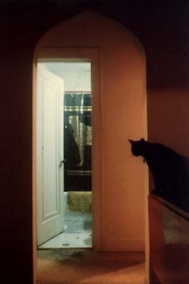 Door with cats