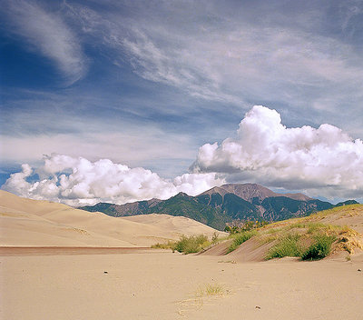 A View of the Dunes