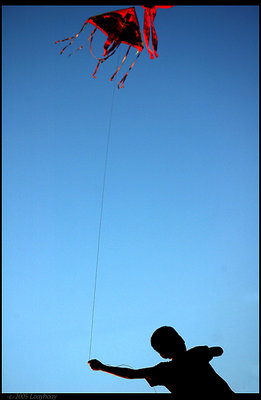 Kid & Kite