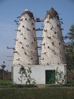 Twin towers of Pigeons