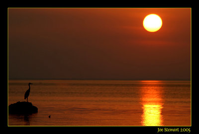 Solitude  II