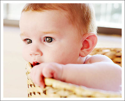 Zai in a basket again