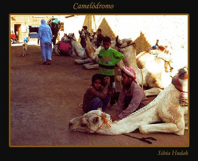 camelódromo