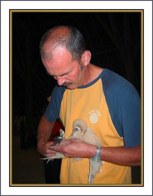 The Volunteer give the Barn Oil an Ring