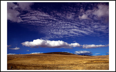 WINTER SKY