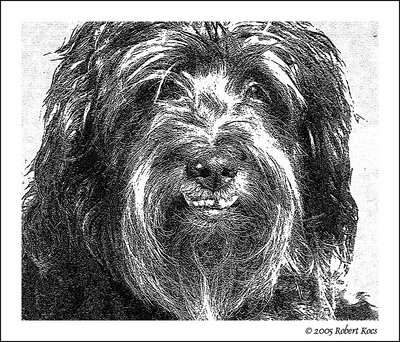 My Pet (No.3)