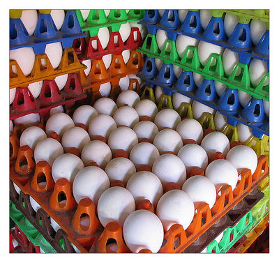 Colourful Eggs