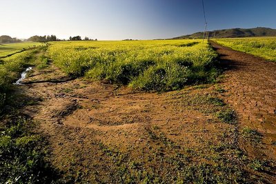 country paths