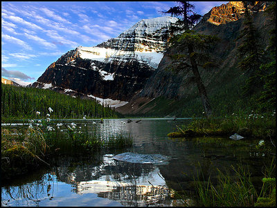 Cavell Lake