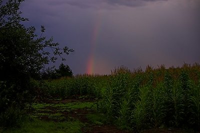 Stormy weather