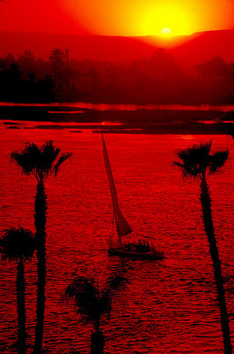 Sunset  on  the  Nile