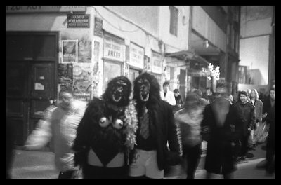 Night Zoo