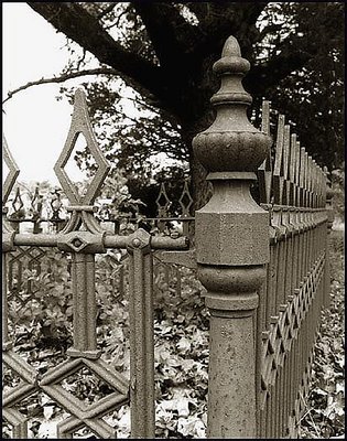  Steele Fence around Old Grave