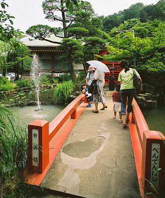 The Bridge