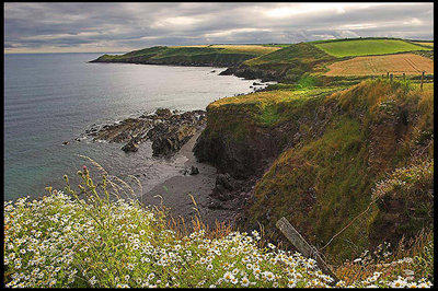 Ballycotton Cliffs