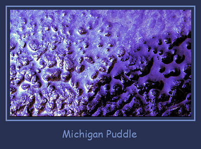 Michigan Puddle