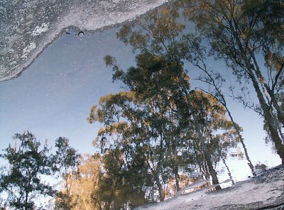 reflections