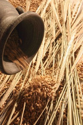 motion of barleys