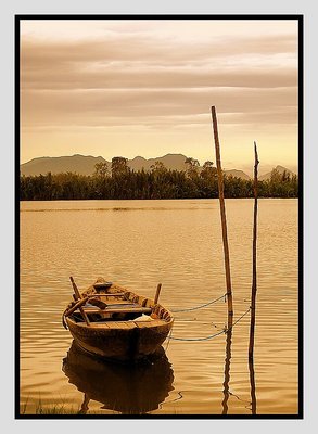 Peaceful Moment of the river