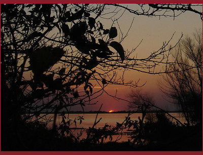 the last glimpse
