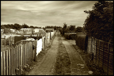 Allotment Track - 3