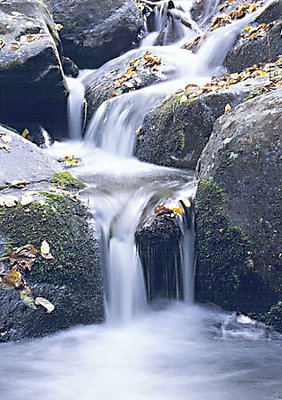 A Waterfall in Autumn