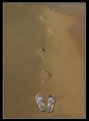 Foot Print