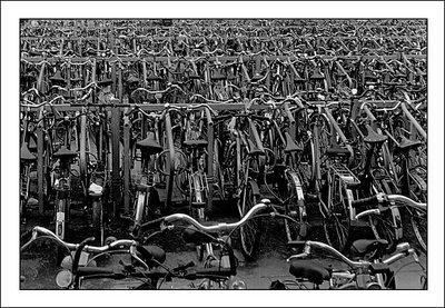 Sea of bikes