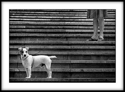 La escalera I