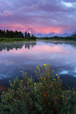 Oxbow Bend