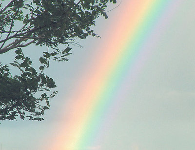Under the Rainbow...