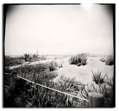 Dunes by Holga