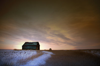 Prairie Solitude #15