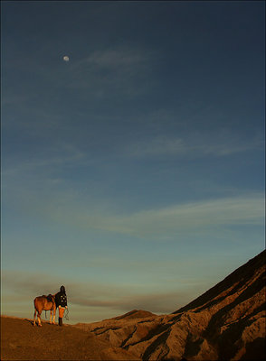 longing for the moon