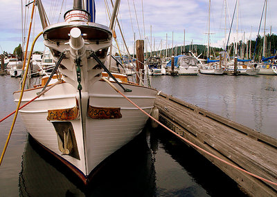 Boat on Marina