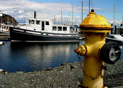 The Yellow Sentinel