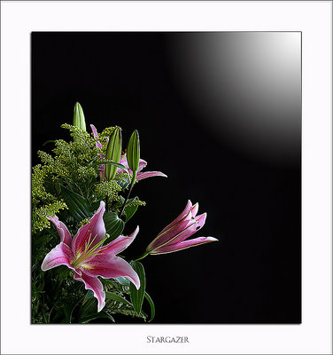 Stargazer