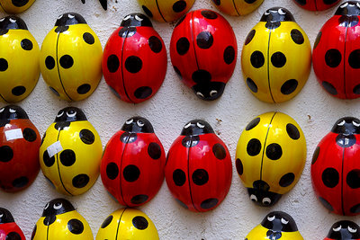 coccinelle