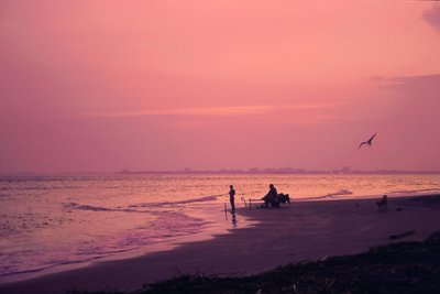 Fishing at Sunset