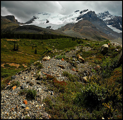 Mt. Athabasca North Face