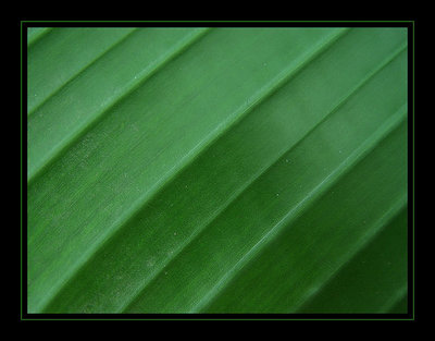 Abstract (Green)